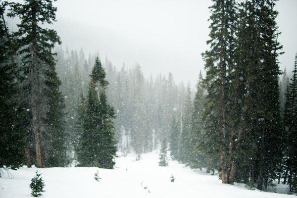 高清冬季雪景图片