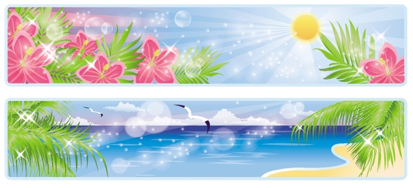 热带植物海阳光图片