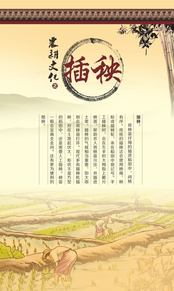 插秧