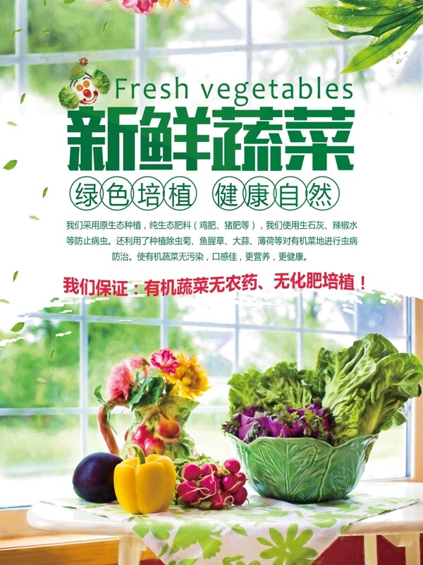 绿色清新新鲜蔬菜促销模板PSD