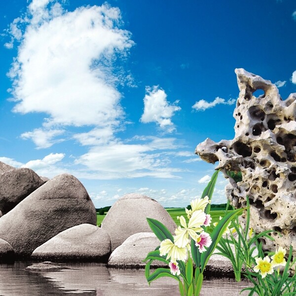蓝天白云石头假山花朵树叶素材