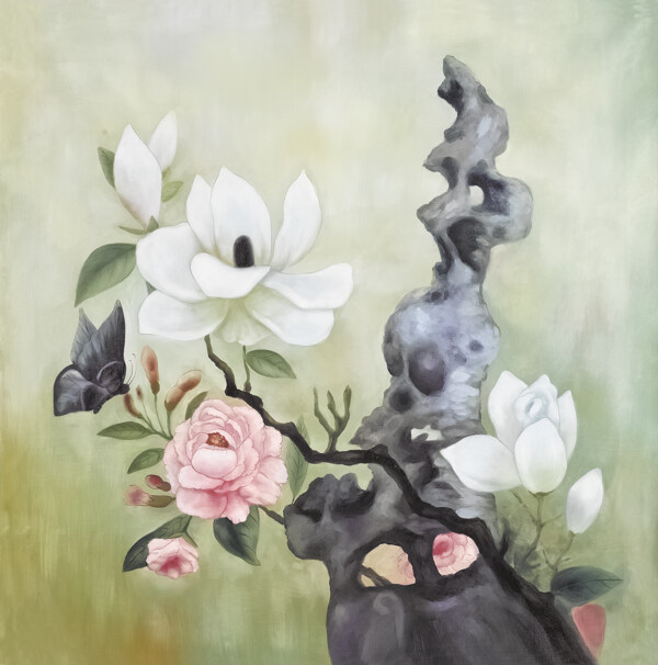 蓉花圖片