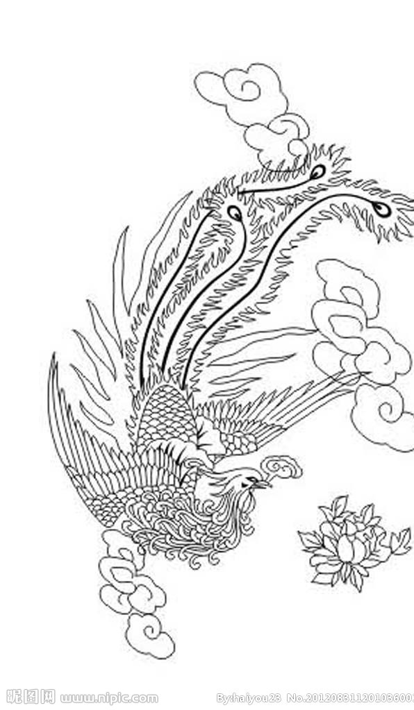 鳳凰圖片