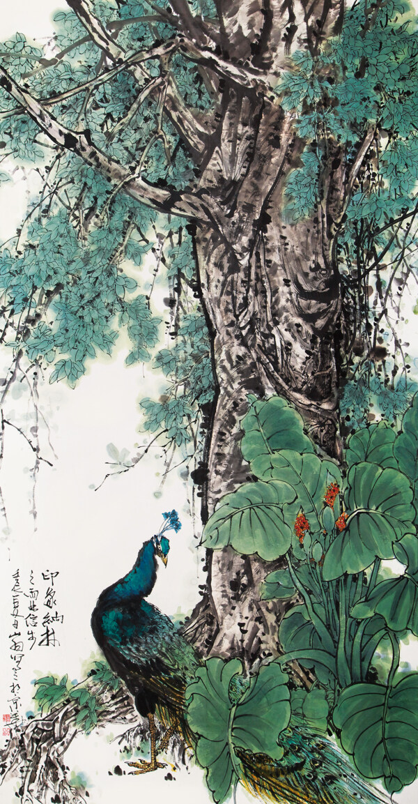 印象圖片