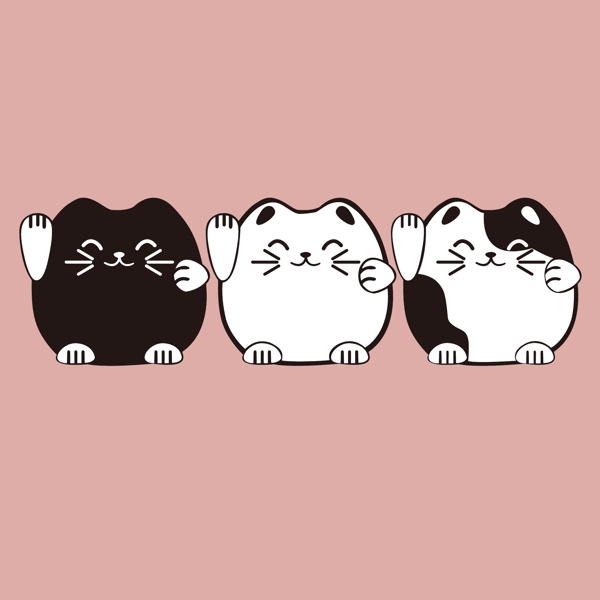 貓咪
