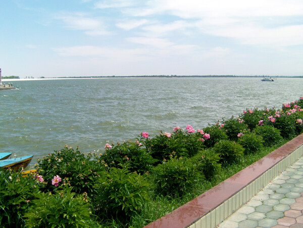 北湖風景圖片