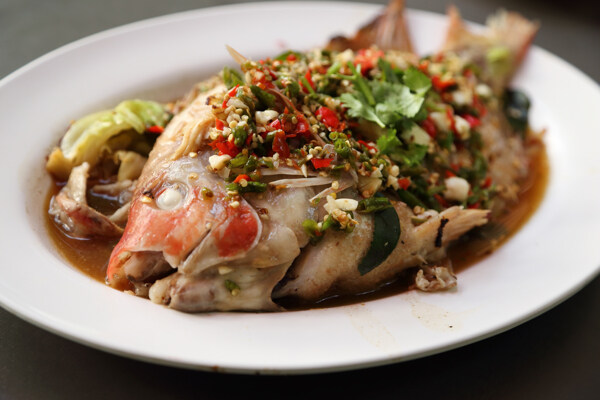 美味的魚圖片