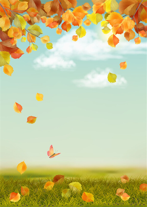 蝴蝶和落叶图片