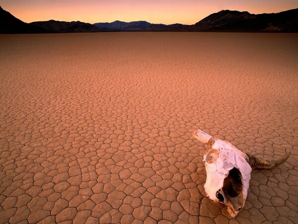 荒芜沙漠图片