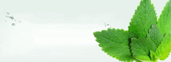 化妝品護膚品背景banner