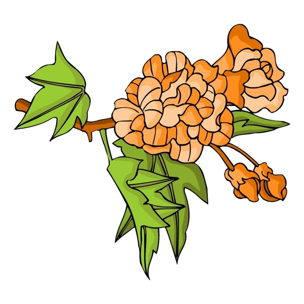 花卉古典插畫