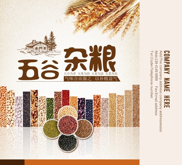 五谷杂粮丰收稻米水稻大