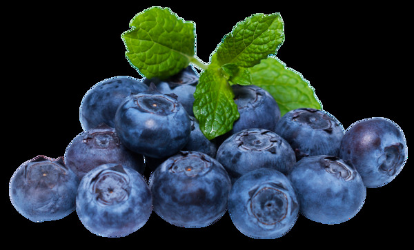 蓝莓png素材