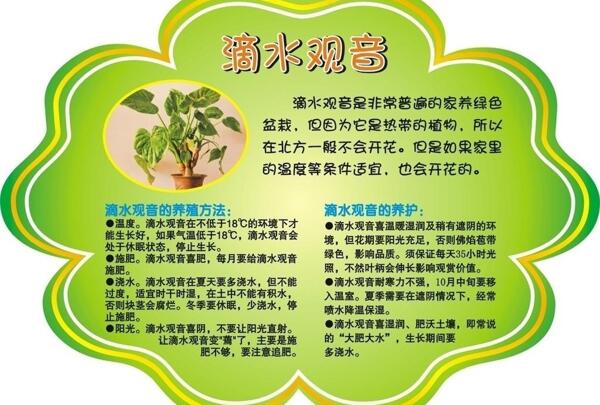 花草小標(biāo)簽圖片