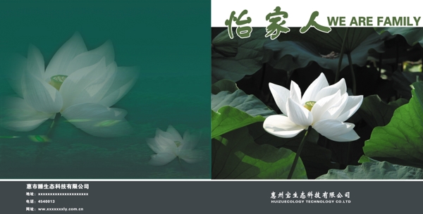 荷花畫冊圖片