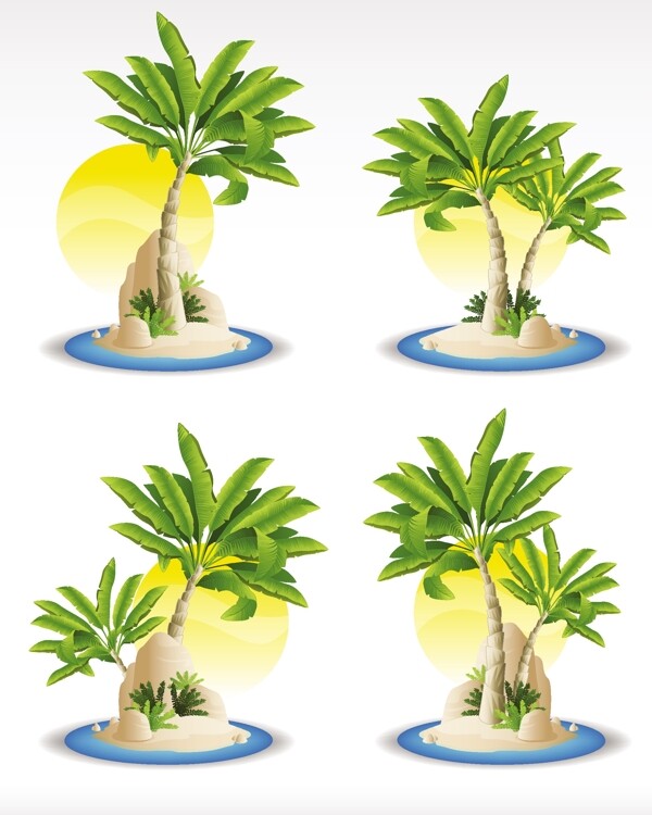 阳光和热带植物矢量图标