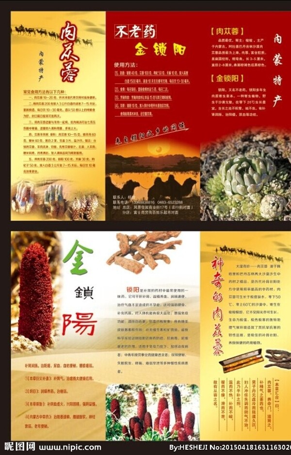 肉蓯蓉鎖陽三折頁圖片