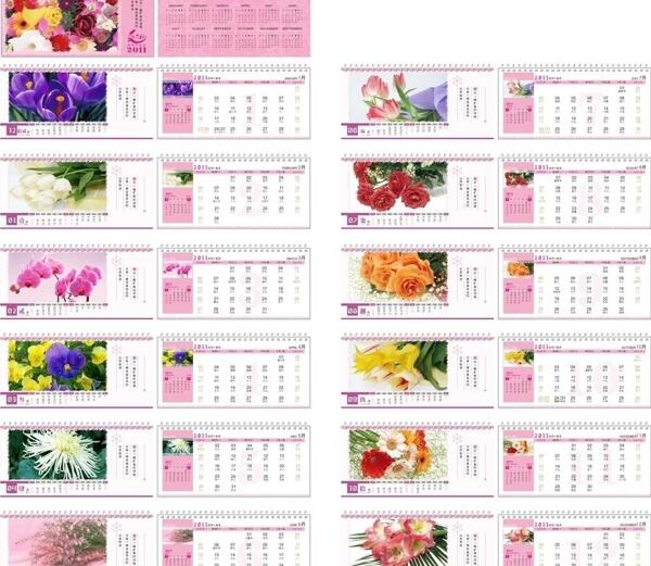 2011花卉台历图片