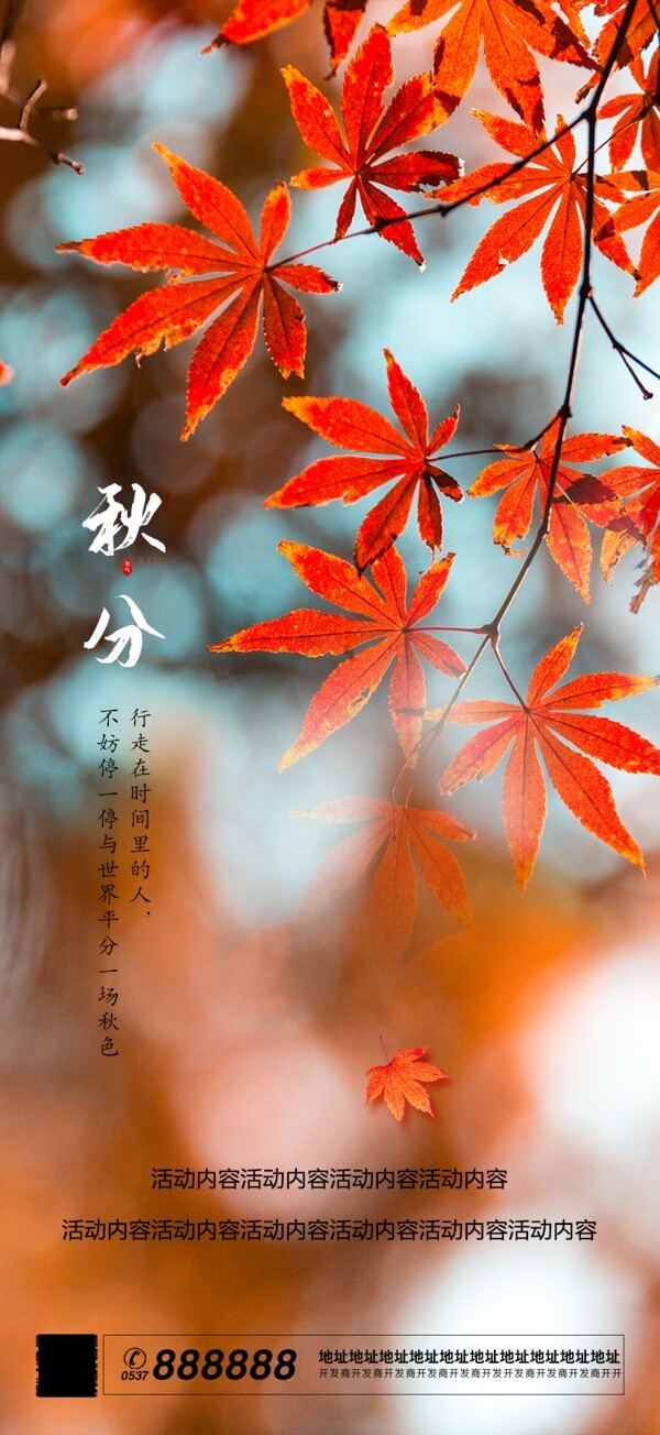 秋天枫叶秋分节气海报图片