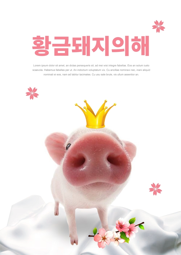 粉红猪和猪2019金猪饲养