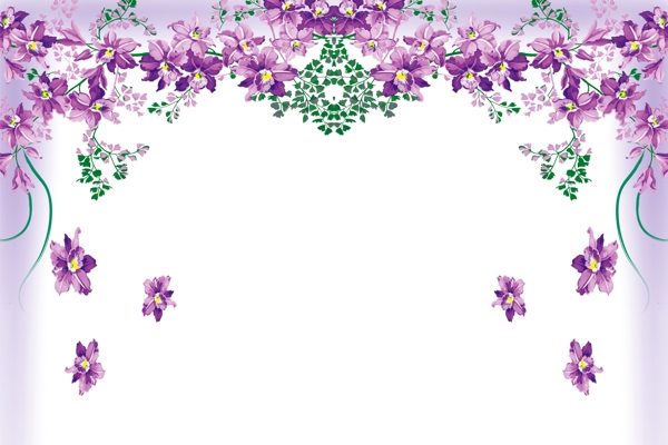 紫色小花