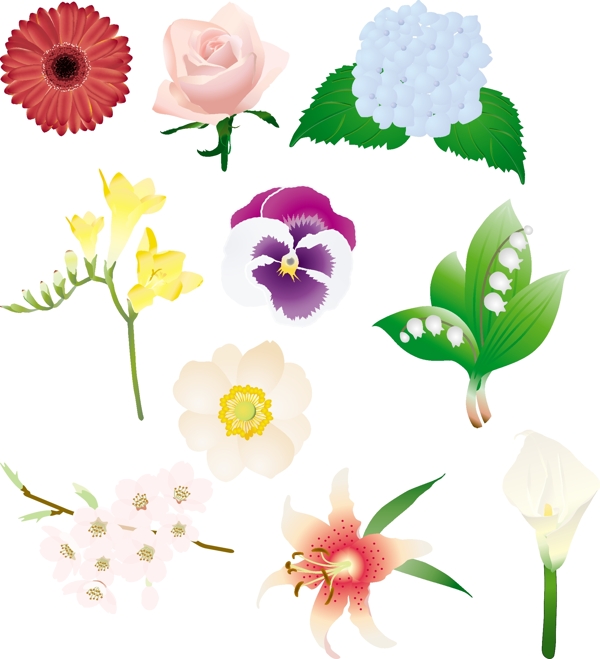 百花爭(zhēng)艷常用花種素材