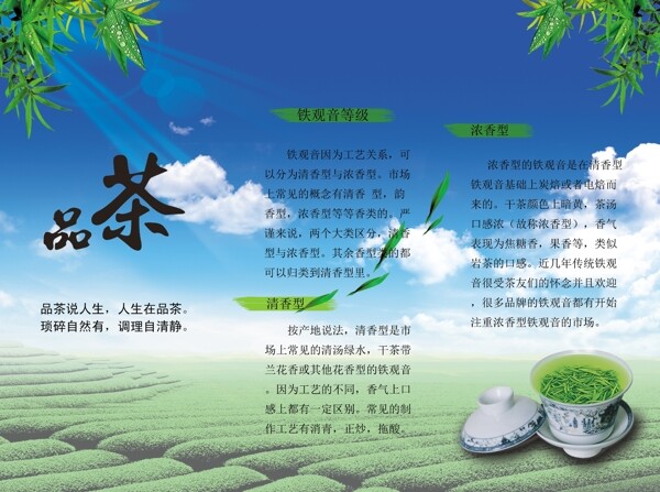 鐵觀音三折頁圖片
