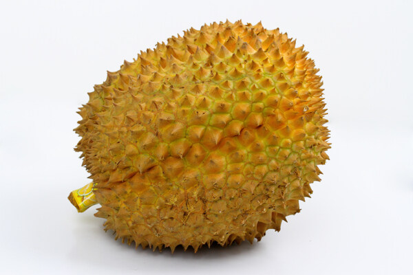 榴蓮