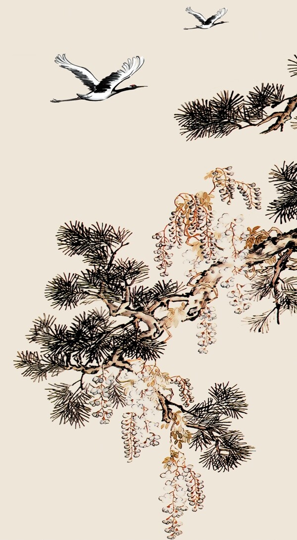松樹