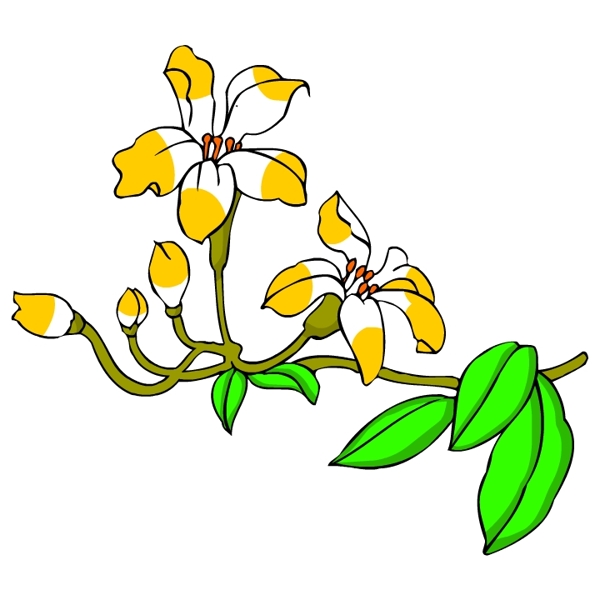 花卉古典插畫