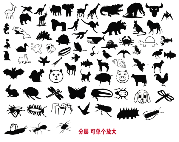動(dòng)物圖片