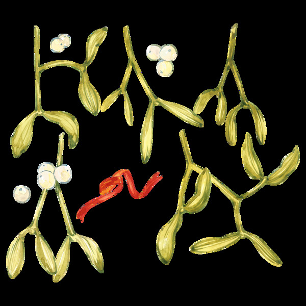 手繪淡雅植物png透明素材