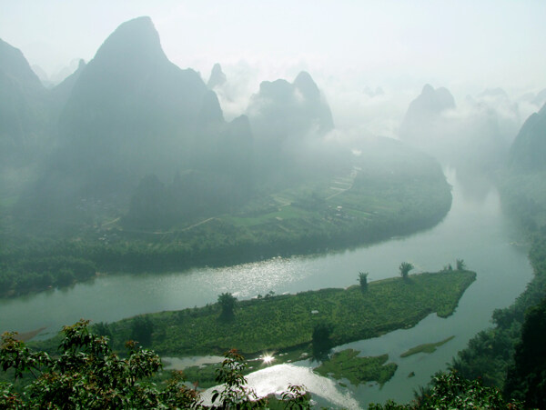 樹植物水風(fēng)景