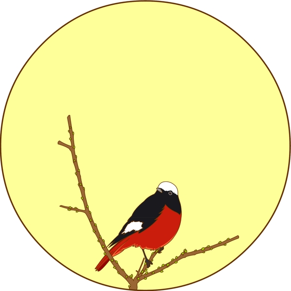 中国风花鸟圆形边框红腹红尾鸲矢量免抠图