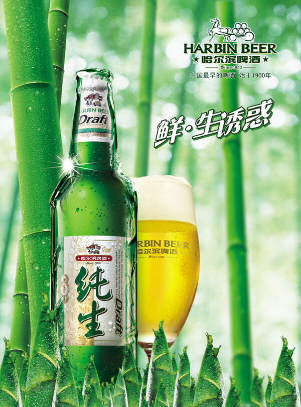 啤酒海報(bào)