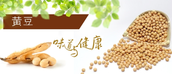 食品平面
