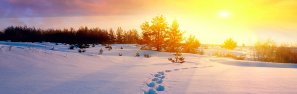 陽光下的雪地banner圖片