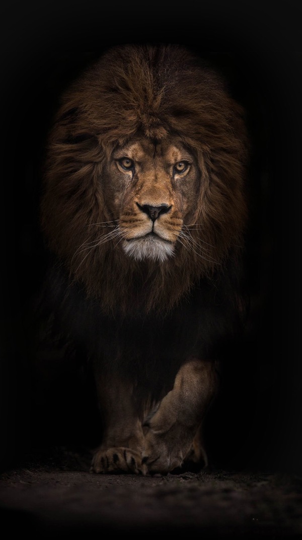 獅子