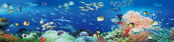海底世界