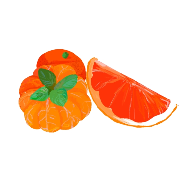 卡通手绘橘子可商用元素设计