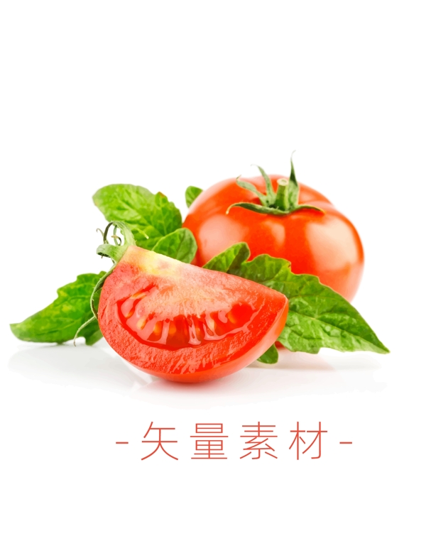 番茄西红柿蔬菜矢量高清