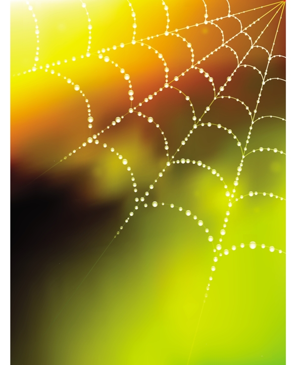 蜘蛛网背景2