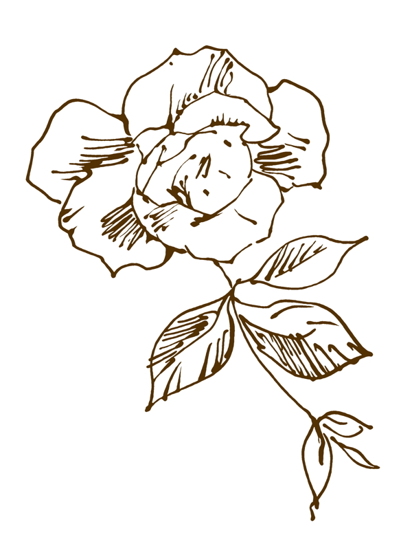 花草插圖花紋圖案0298