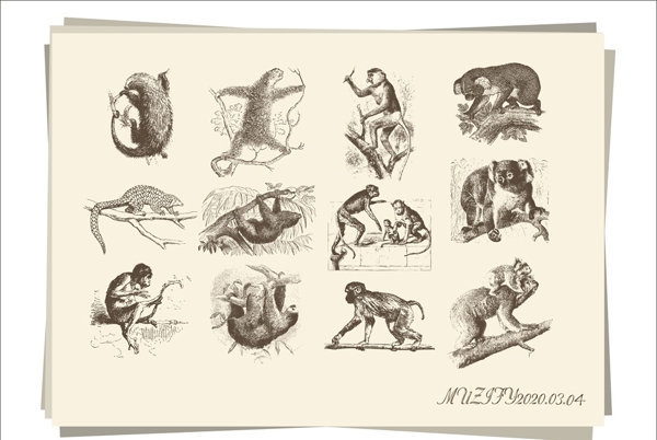 12款入灵长类动物手绘稿
