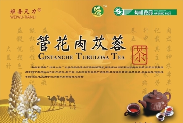 茶包燈片圖片