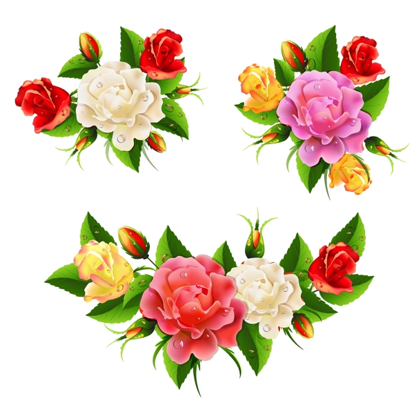 花圖片