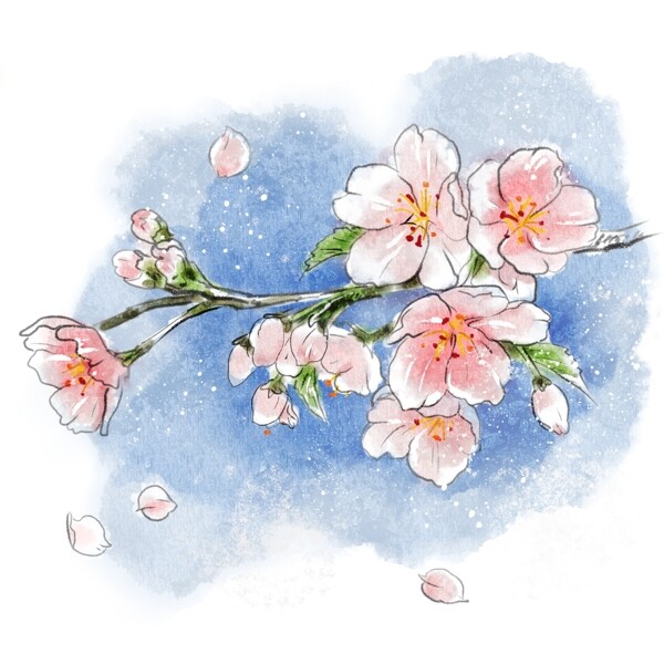 水彩清新樱花植物花朵桃花春天清明谷雨花瓣