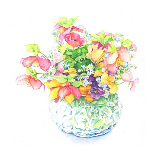 位圖植物寫意花卉花朵野花免費(fèi)素材