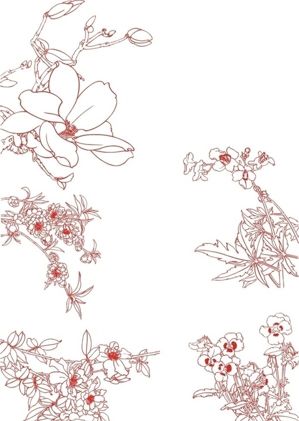 白描花圖片