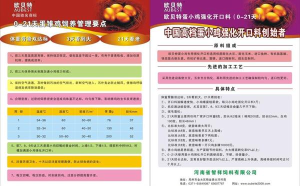 雞料彩頁圖片